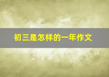 初三是怎样的一年作文