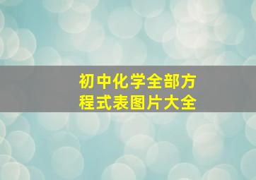 初中化学全部方程式表图片大全