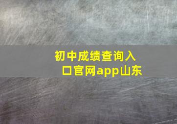 初中成绩查询入口官网app山东