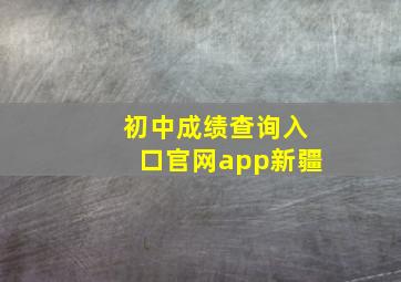 初中成绩查询入口官网app新疆