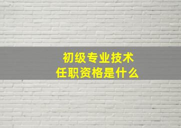 初级专业技术任职资格是什么