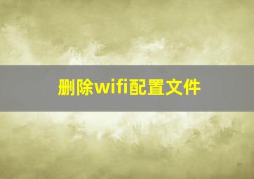 删除wifi配置文件