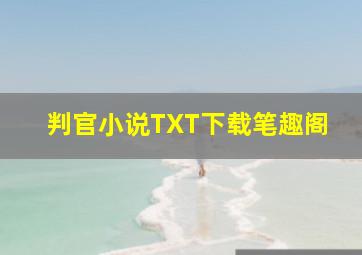 判官小说TXT下载笔趣阁