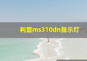 利盟ms310dn指示灯