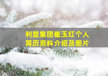 利盟集团崔玉红个人简历资料介绍及图片