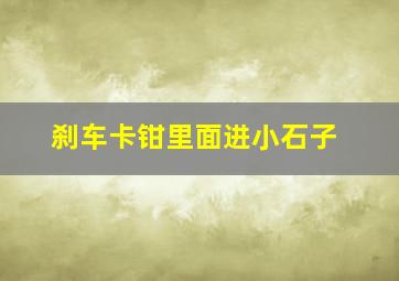 刹车卡钳里面进小石子