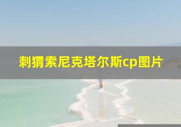 刺猬索尼克塔尔斯cp图片