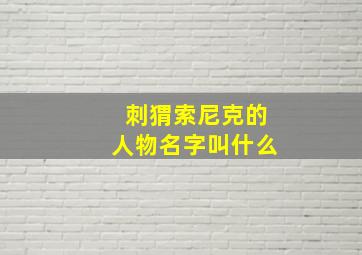 刺猬索尼克的人物名字叫什么