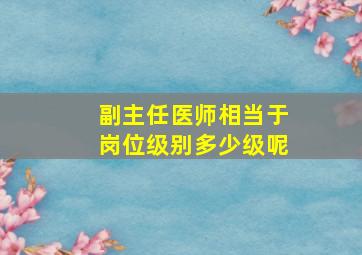 副主任医师相当于岗位级别多少级呢