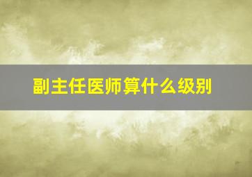 副主任医师算什么级别