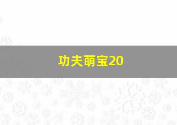 功夫萌宝20