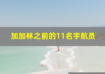 加加林之前的11名宇航员