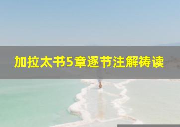 加拉太书5章逐节注解祷读