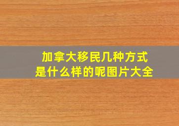 加拿大移民几种方式是什么样的呢图片大全