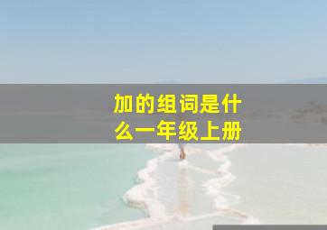 加的组词是什么一年级上册