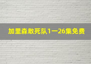 加里森敢死队1一26集免费