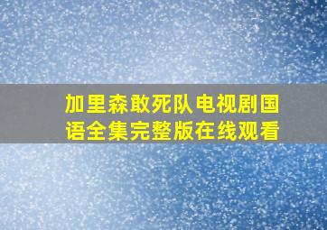 加里森敢死队电视剧国语全集完整版在线观看