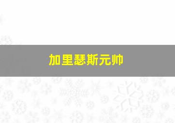 加里瑟斯元帅