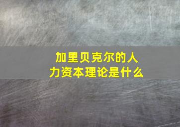 加里贝克尔的人力资本理论是什么