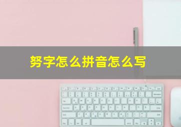 努字怎么拼音怎么写