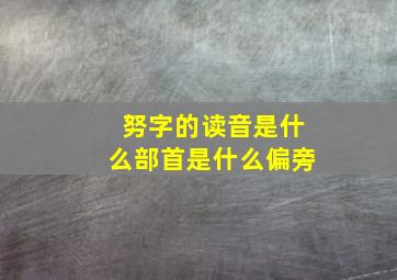 努字的读音是什么部首是什么偏旁