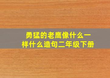 勇猛的老鹰像什么一样什么造句二年级下册