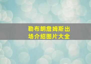 勒布朗詹姆斯出场介绍图片大全