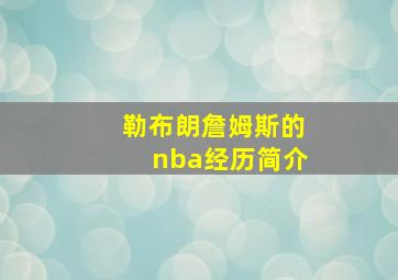 勒布朗詹姆斯的nba经历简介