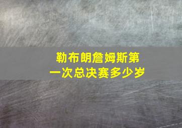 勒布朗詹姆斯第一次总决赛多少岁