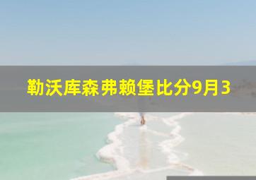 勒沃库森弗赖堡比分9月3