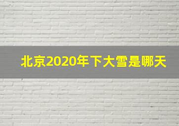 北京2020年下大雪是哪天