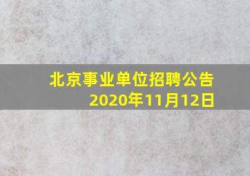 北京事业单位招聘公告2020年11月12日