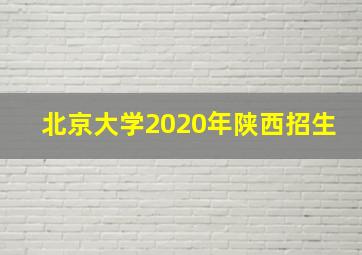 北京大学2020年陕西招生