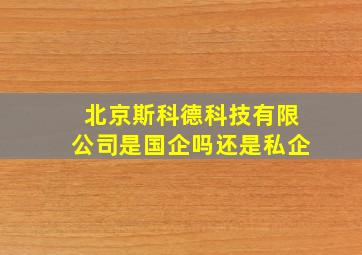 北京斯科德科技有限公司是国企吗还是私企