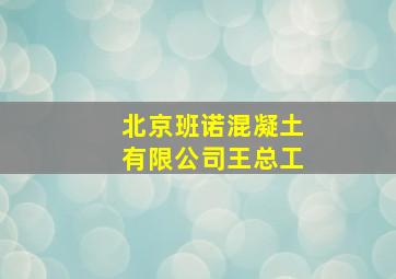 北京班诺混凝土有限公司王总工