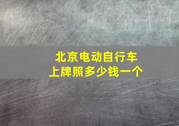 北京电动自行车上牌照多少钱一个