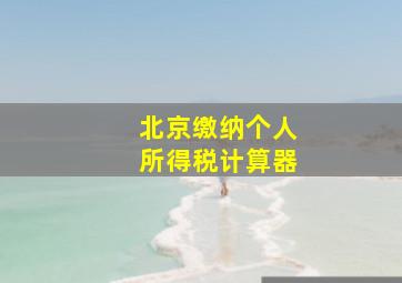 北京缴纳个人所得税计算器