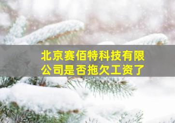 北京赛佰特科技有限公司是否拖欠工资了