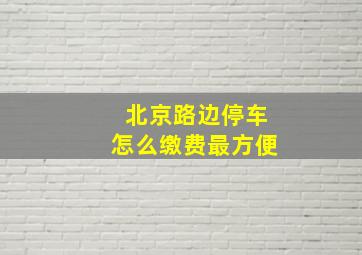 北京路边停车怎么缴费最方便