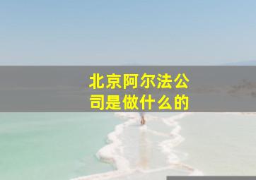 北京阿尔法公司是做什么的