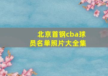 北京首钢cba球员名单照片大全集