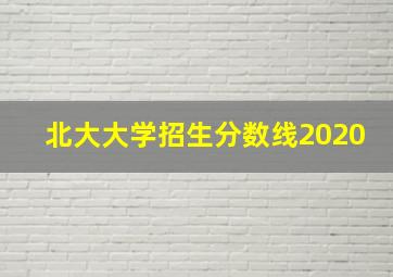 北大大学招生分数线2020