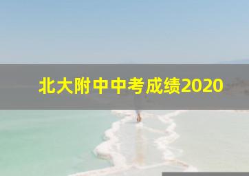 北大附中中考成绩2020