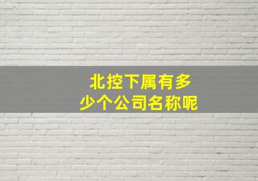 北控下属有多少个公司名称呢