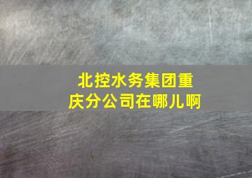 北控水务集团重庆分公司在哪儿啊