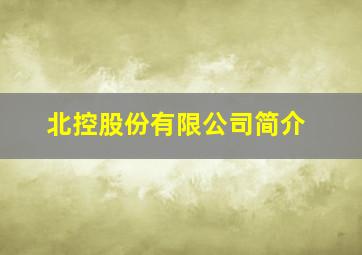 北控股份有限公司简介