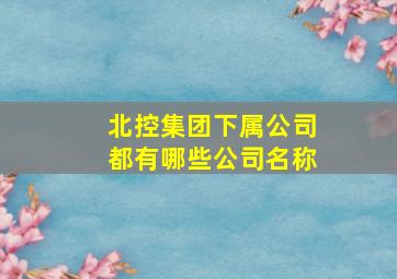 北控集团下属公司都有哪些公司名称