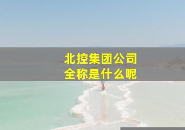 北控集团公司全称是什么呢