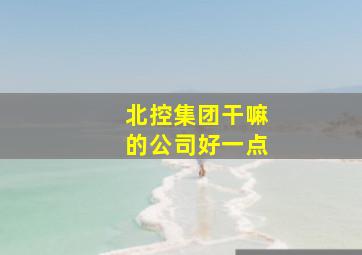 北控集团干嘛的公司好一点