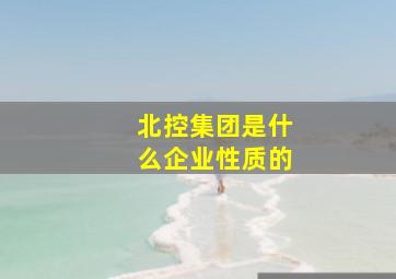 北控集团是什么企业性质的